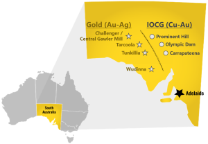 Wudinna Gold Project – Grant of New Tenements