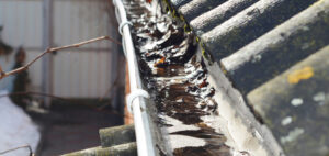 TurnKey Pressure Washing Launches Residential Gutter Cleaning Service